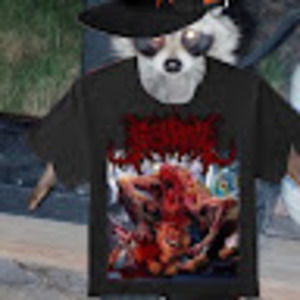 Meet your Posher, Kanan